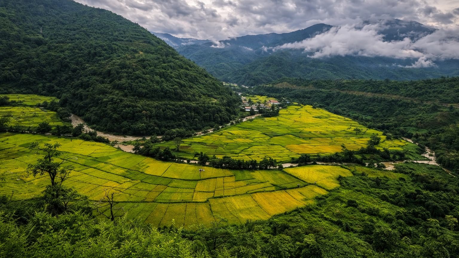 Ziro valley